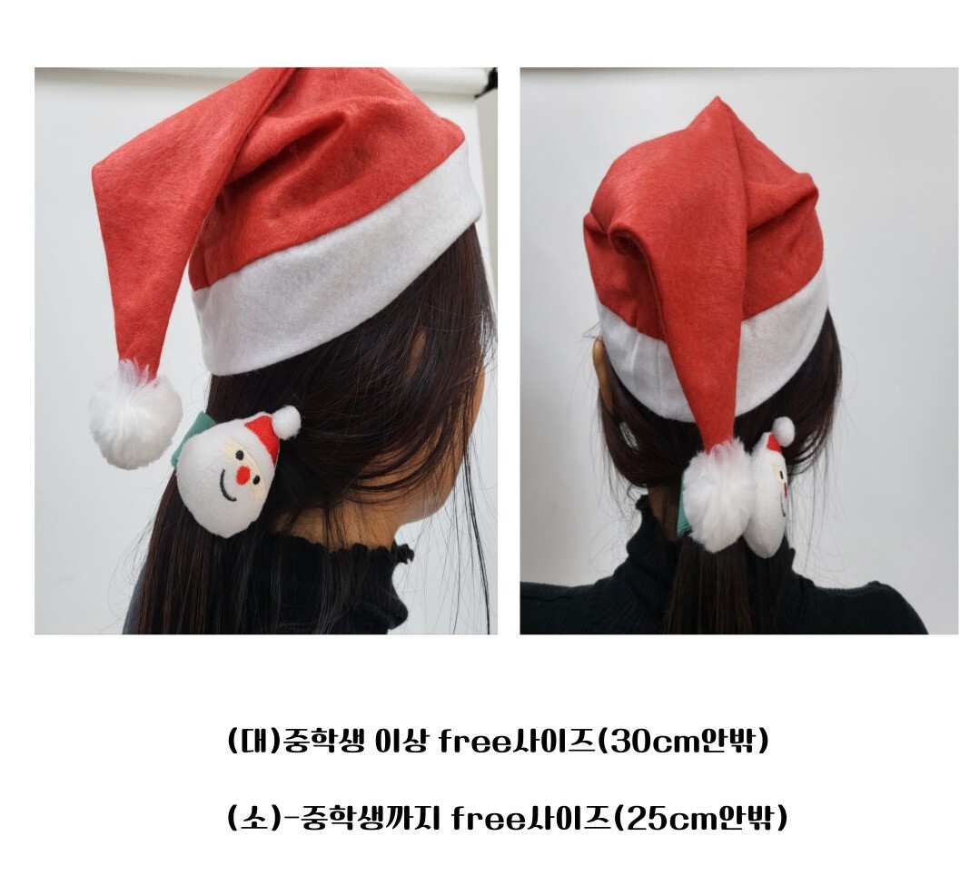 santa.jpg