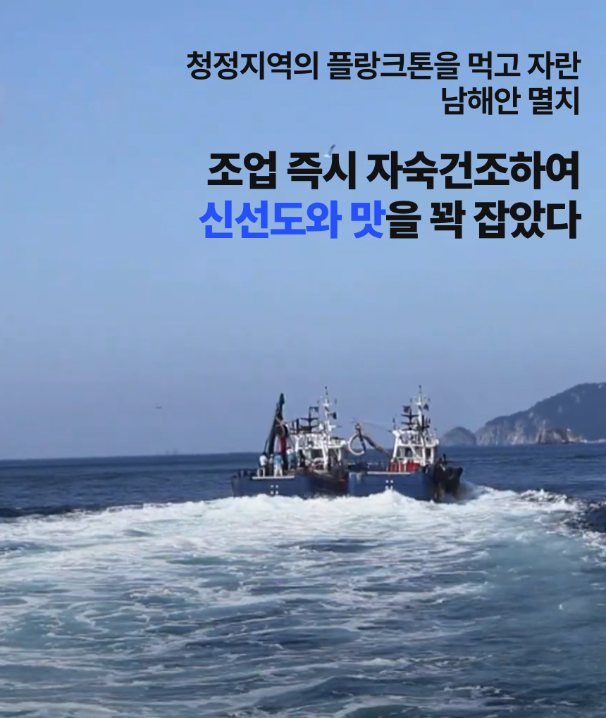 [품질보장] 남해안 명품 고급멸치 대멸치 중멸치 소멸치 세멸치500g