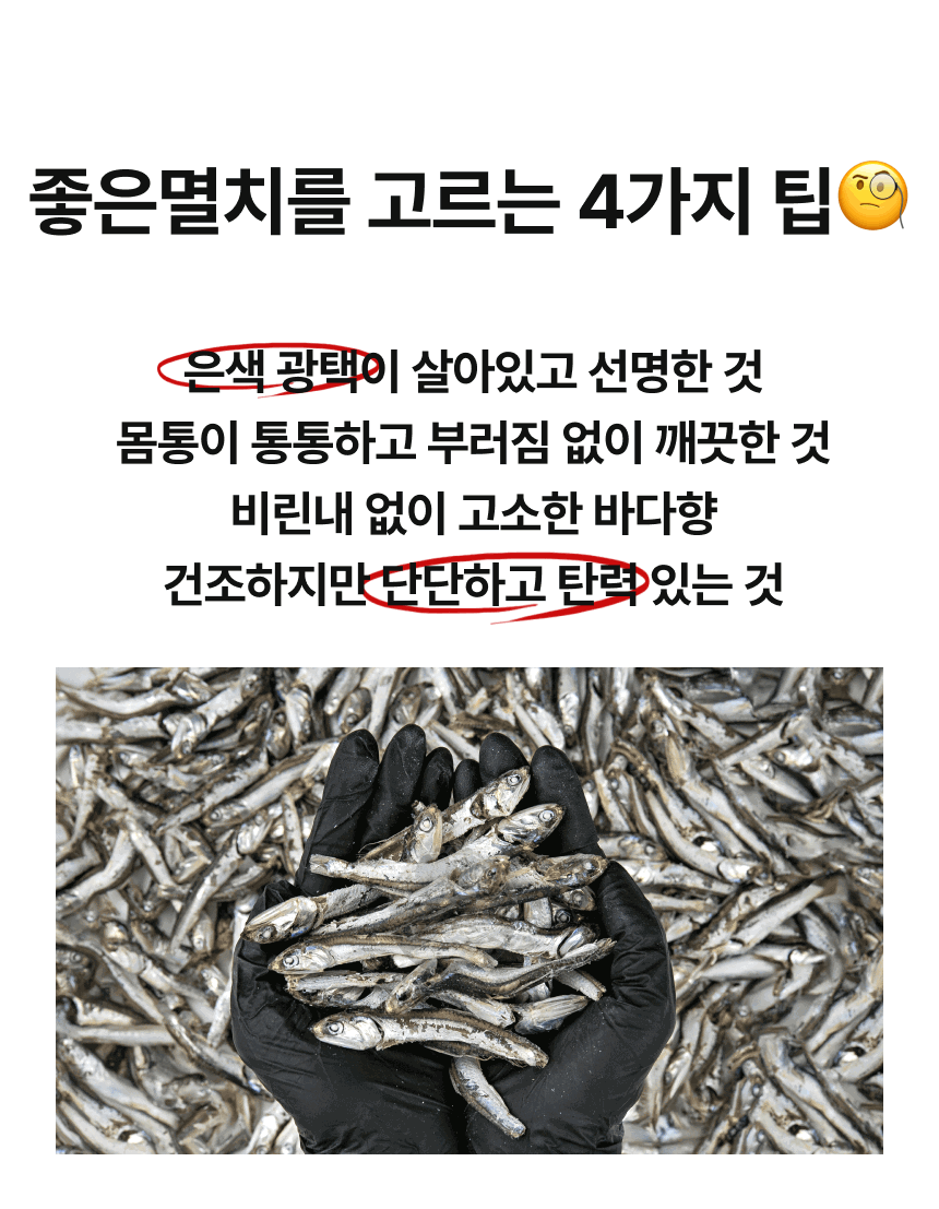 [품질보장] 남해안 명품 고급멸치 대멸치 중멸치 소멸치 세멸치500g