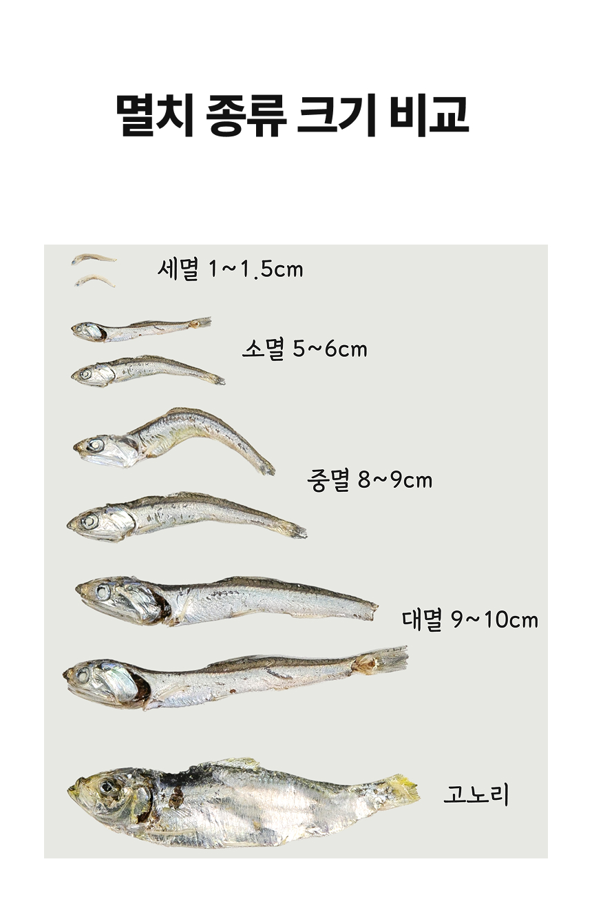 [품질보장] 남해안 명품 고급멸치 대멸치 중멸치 소멸치 세멸치500g