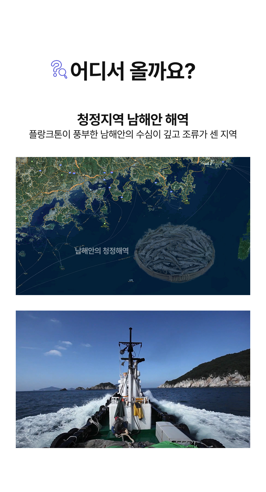 [품질보장] 남해안 명품 고급멸치 대멸치 중멸치 소멸치 세멸치500g