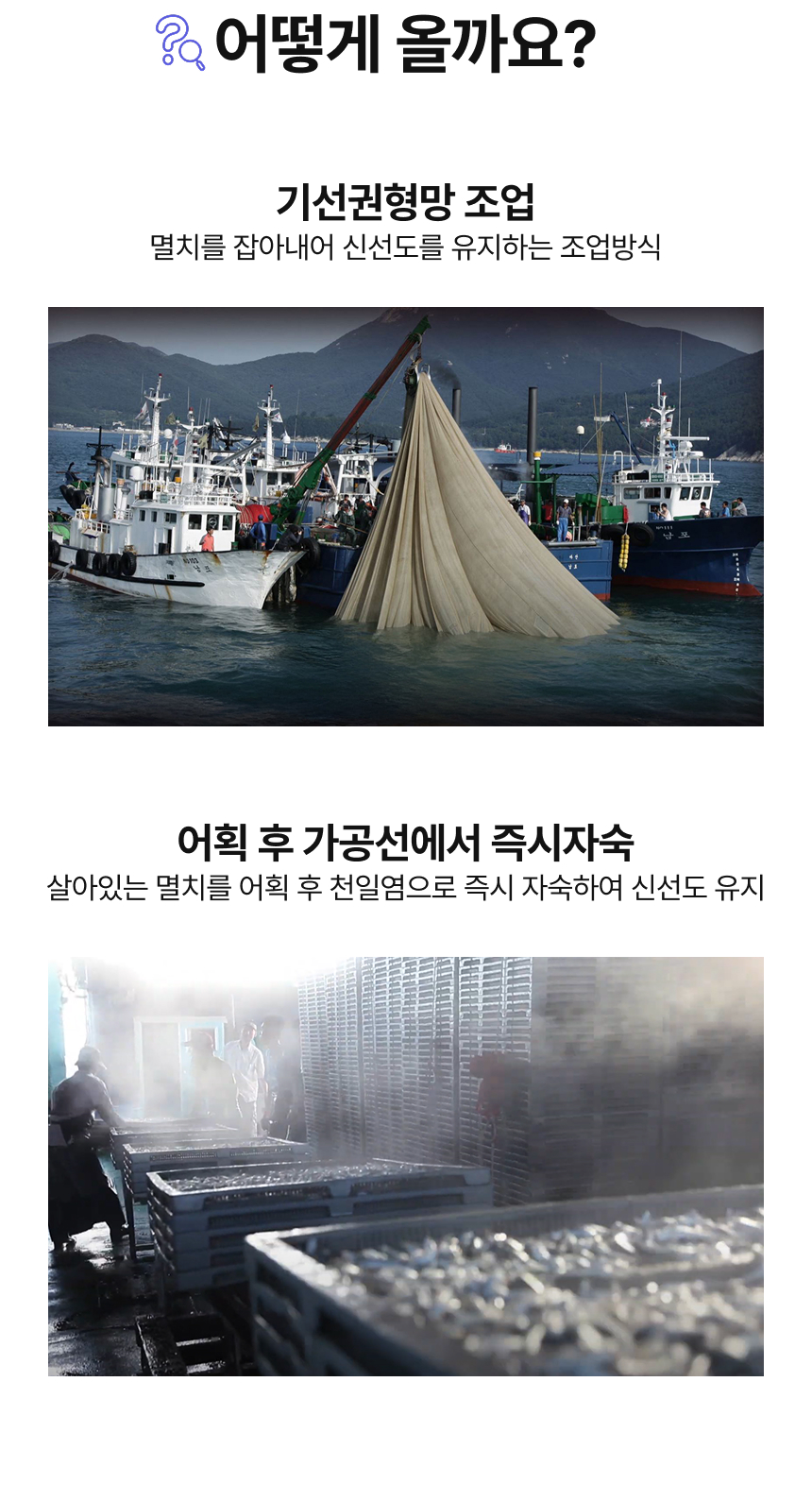 [품질보장] 남해안 명품 고급멸치 대멸치 중멸치 소멸치 세멸치500g
