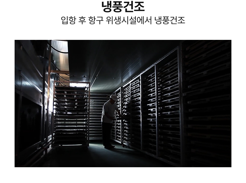 [품질보장] 남해안 명품 고급멸치 대멸치 중멸치 소멸치 세멸치500g