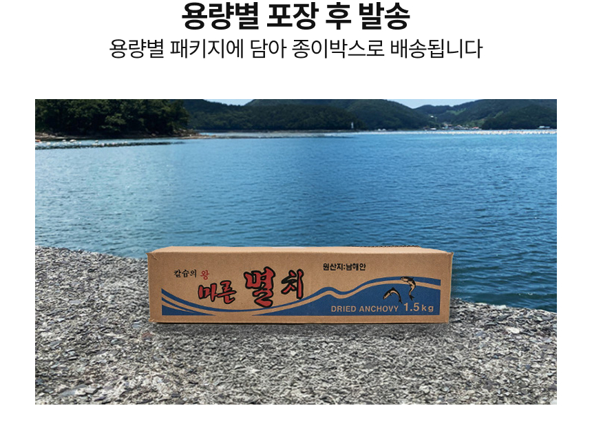 [품질보장] 남해안 명품 고급멸치 대멸치 중멸치 소멸치 세멸치500g