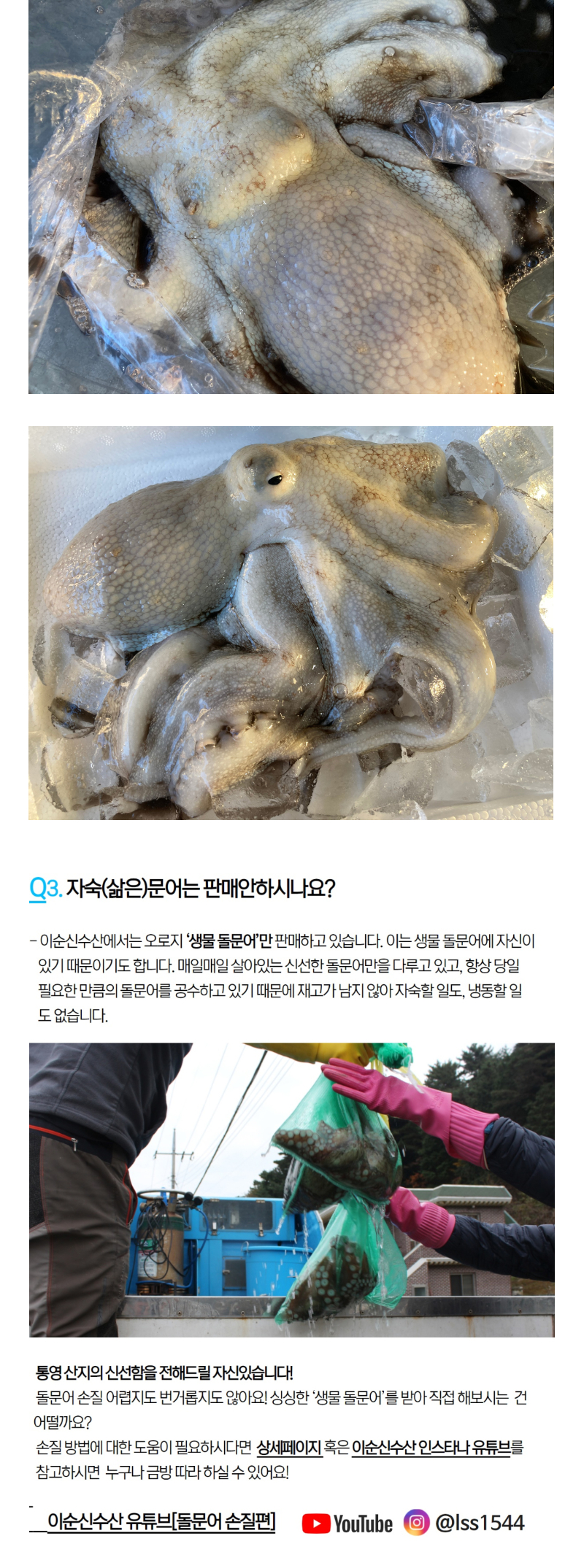 산지직송 통영 자연산 돌문어 1kg 제수용