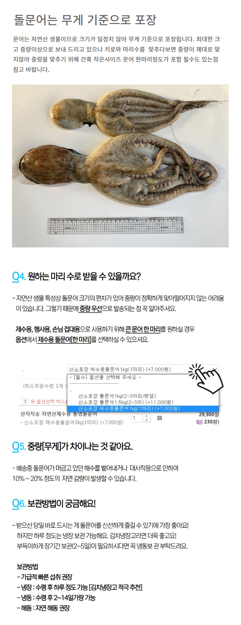 산지직송 통영 자연산 돌문어 1kg 제수용