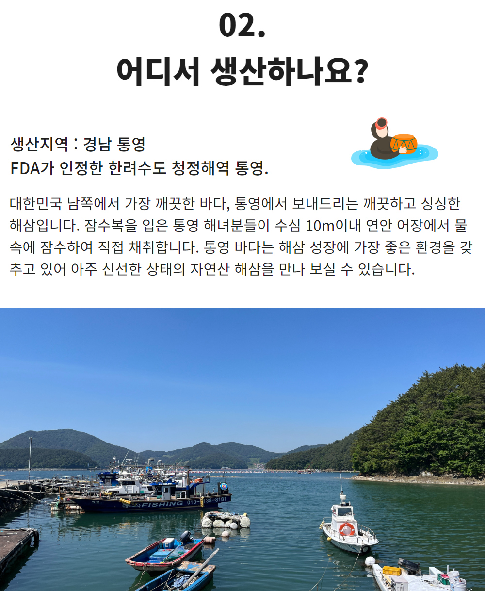 통영 제철 자연산 해삼 고노와다