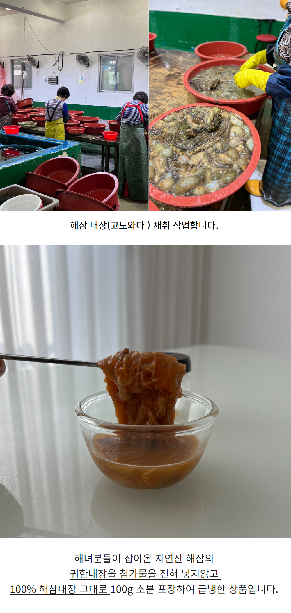 통영 제철 자연산 해삼 고노와다