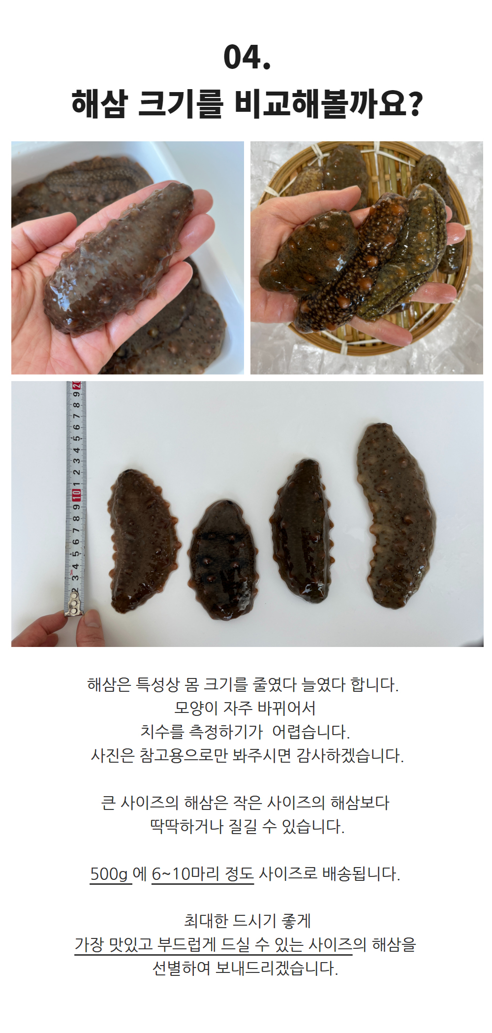 통영 제철 자연산 해삼 고노와다