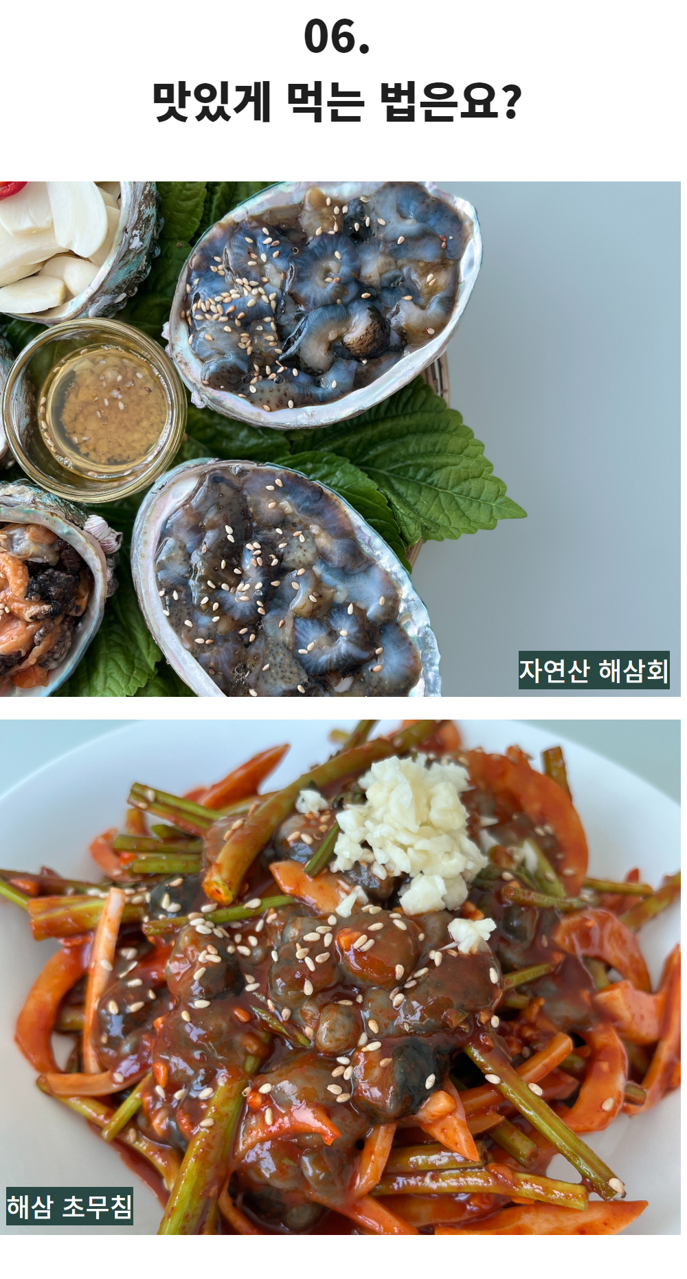 통영 제철 자연산 해삼 고노와다