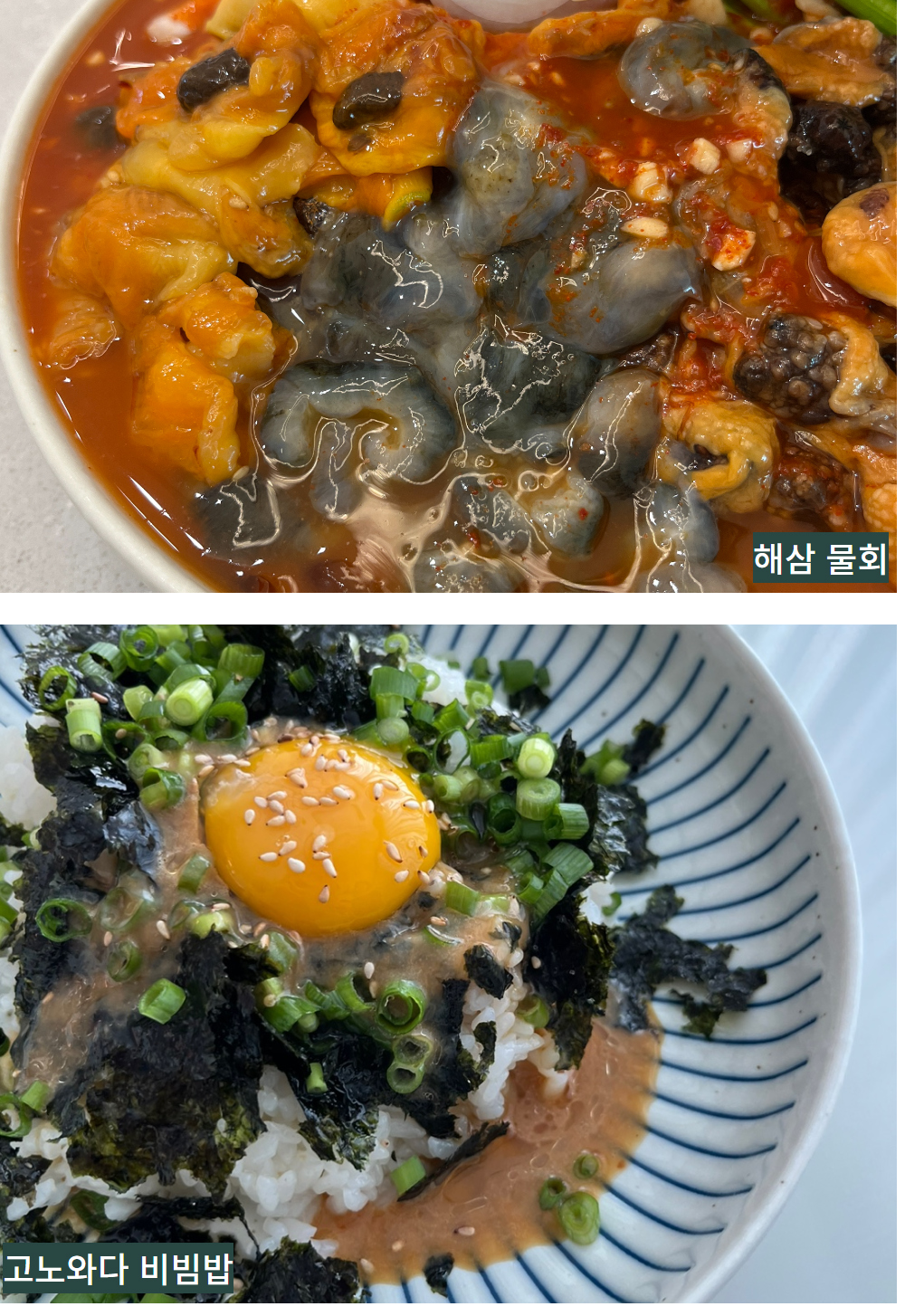 통영 제철 자연산 해삼 고노와다