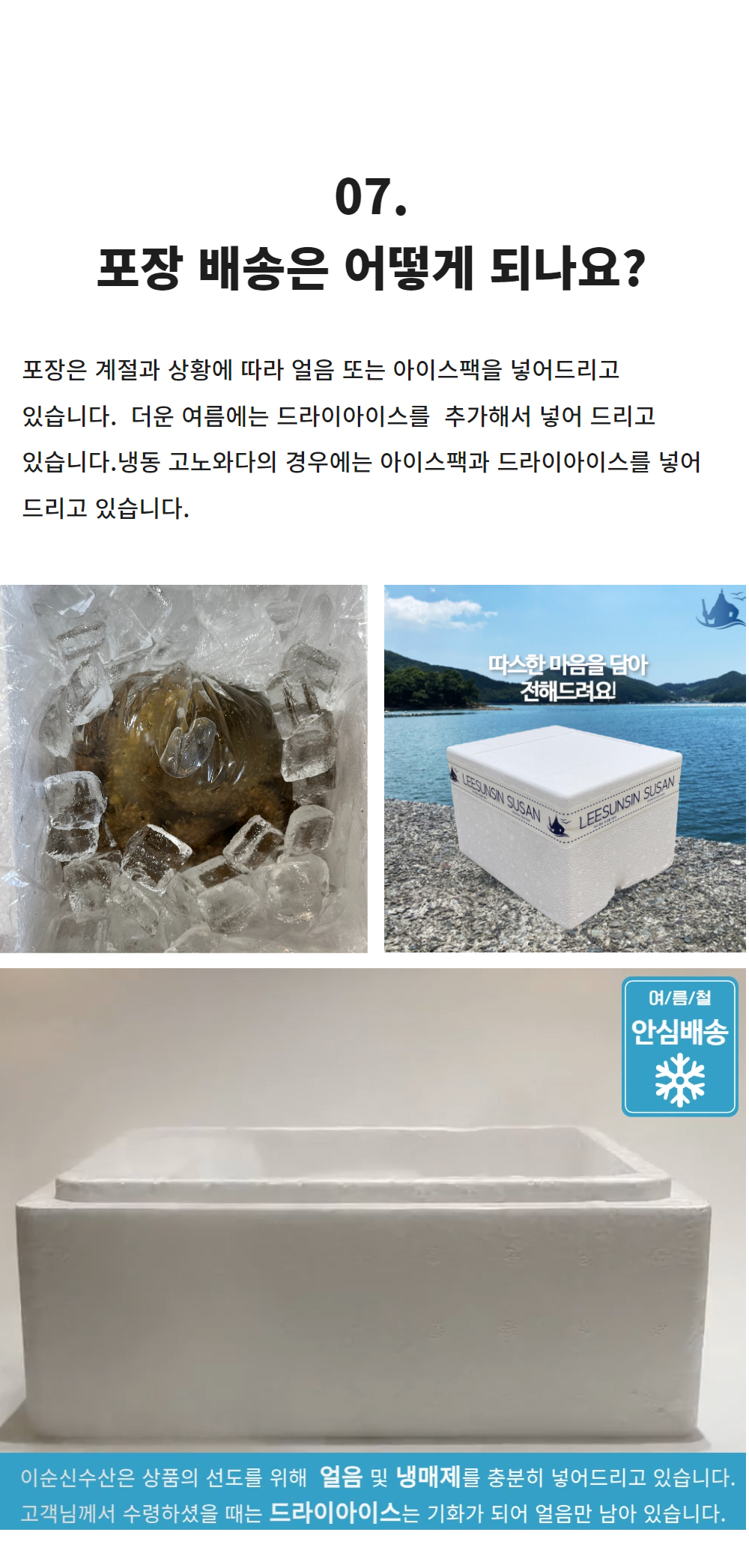 통영 제철 자연산 해삼 고노와다