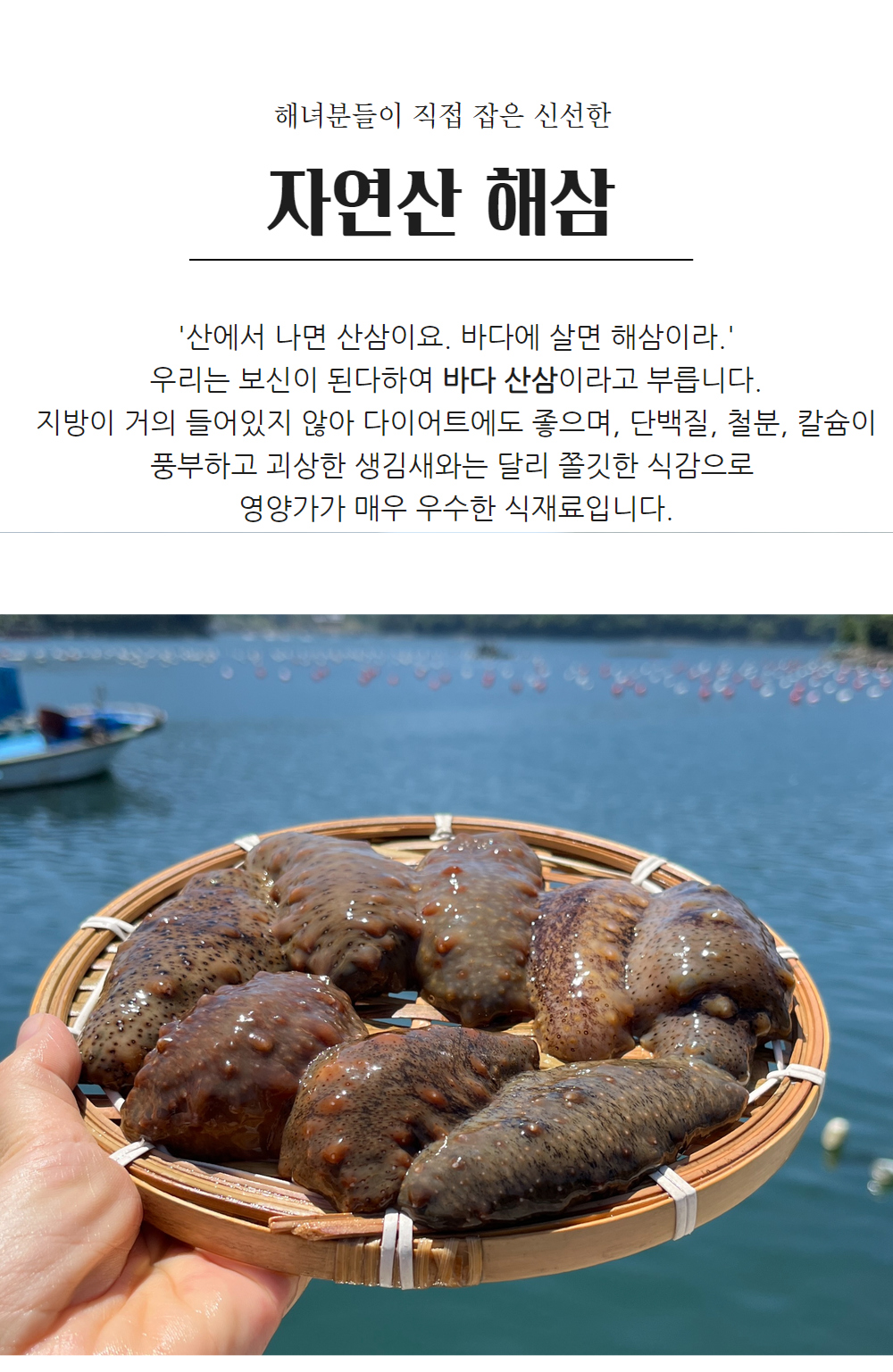 통영 제철 자연산 해삼 고노와다