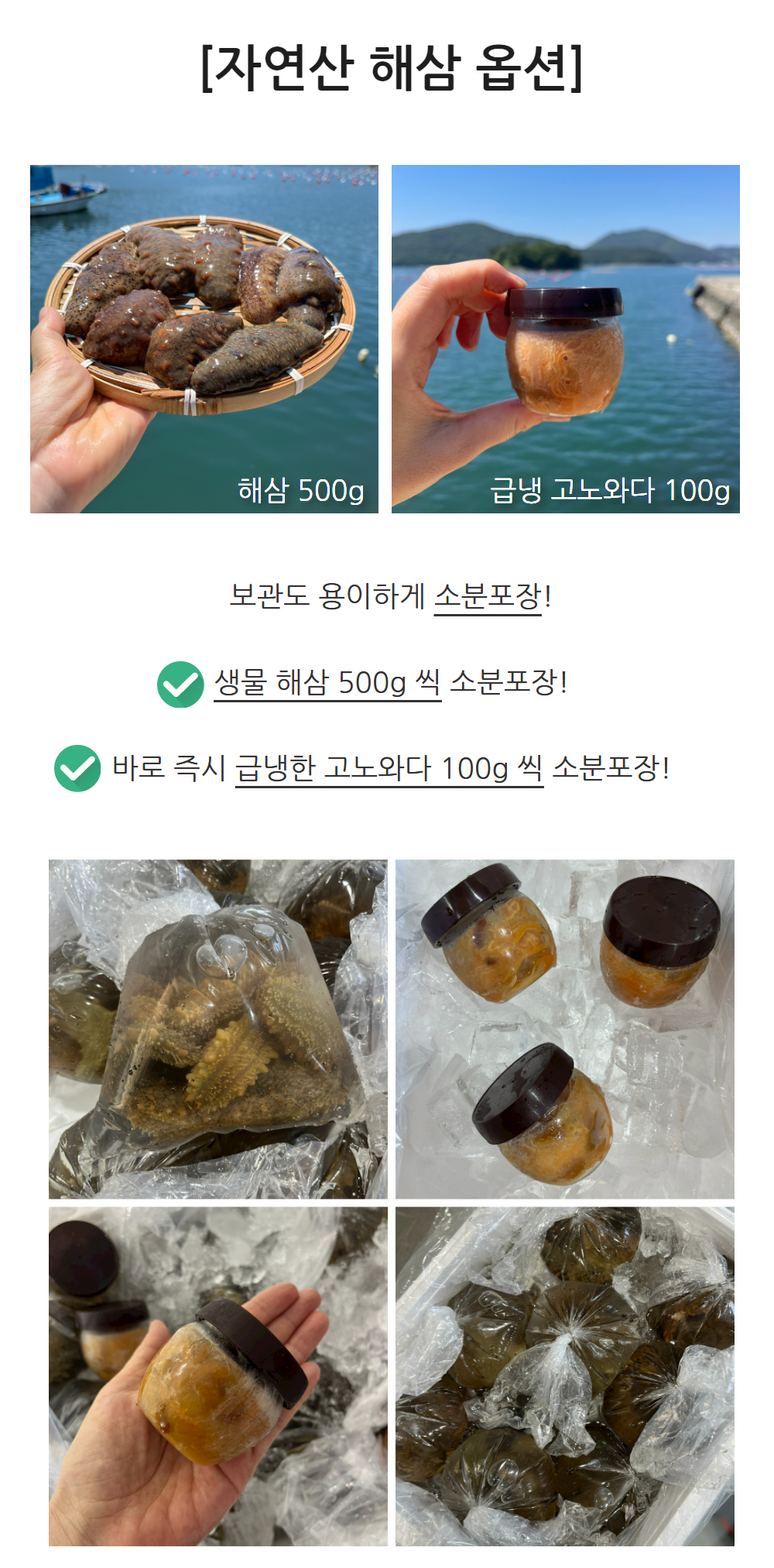 통영 제철 자연산 해삼 고노와다