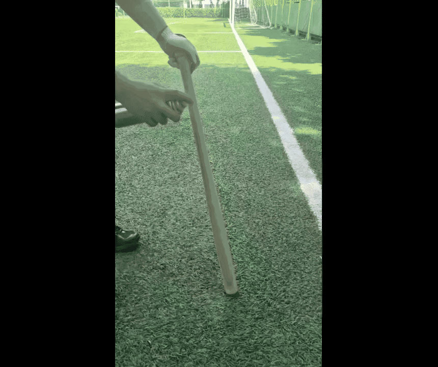 dd1.gif