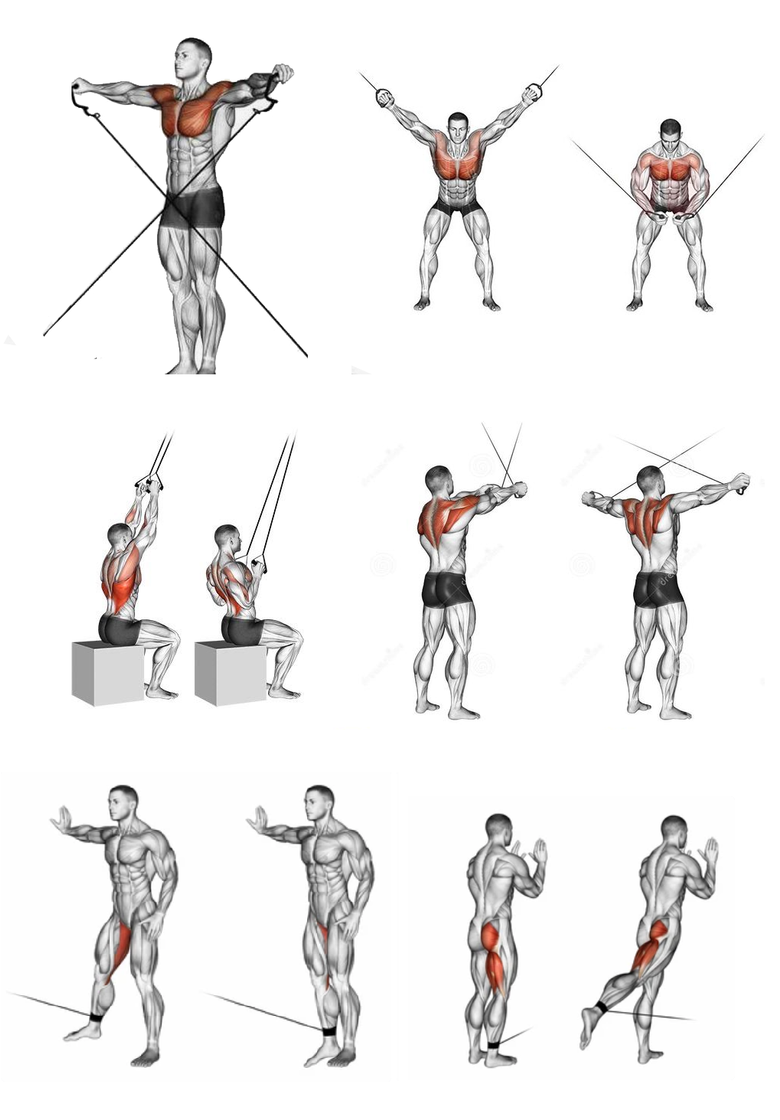 fit_1.png