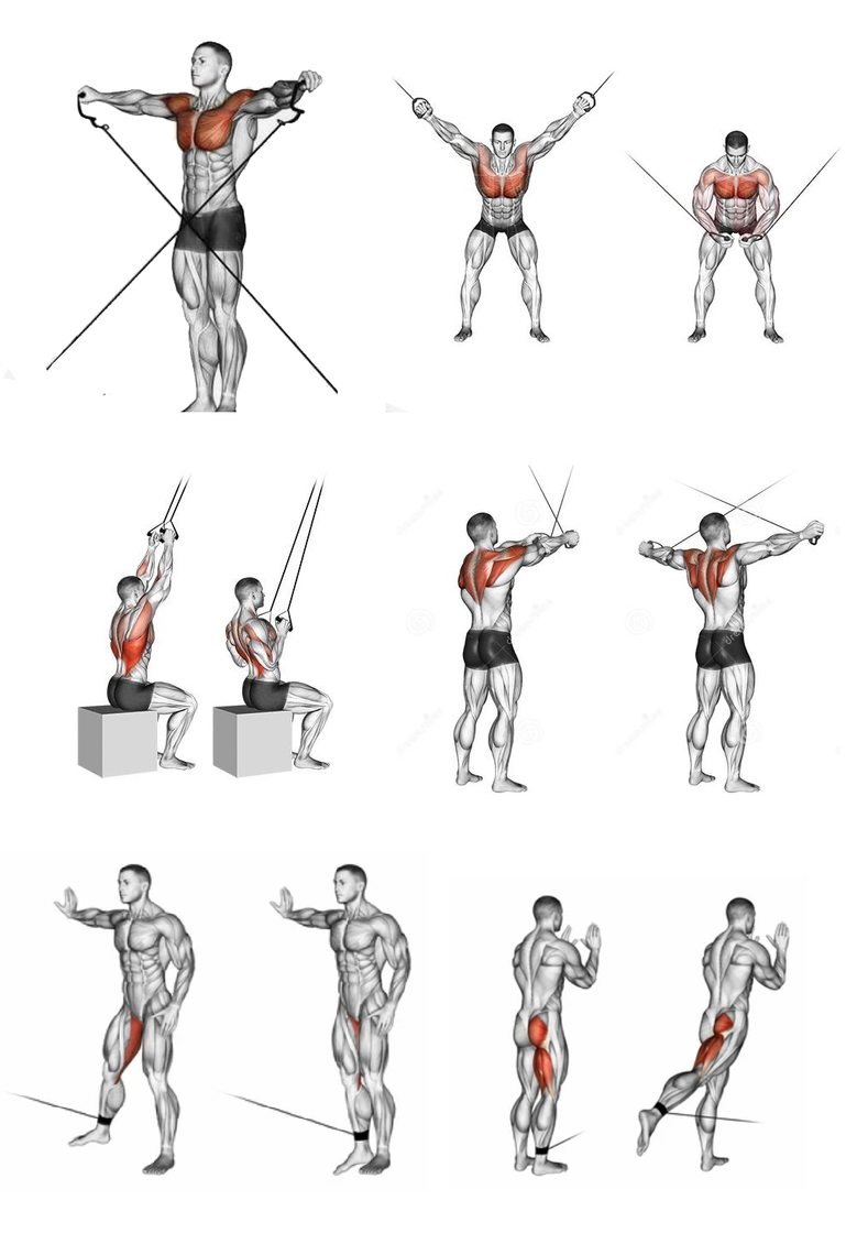 fit_24.png