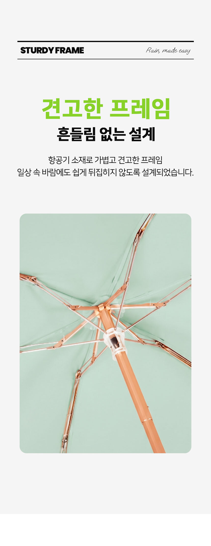 1_07.jpg