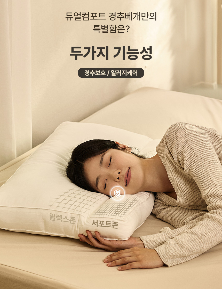 dual_comfort_03.jpg