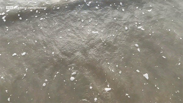 바닷물에 발을 담그는 장면 GIF
