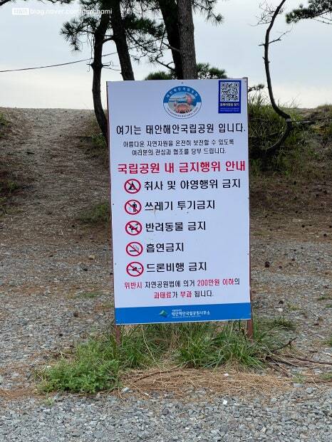 갯벌에서 발견한 명주조개