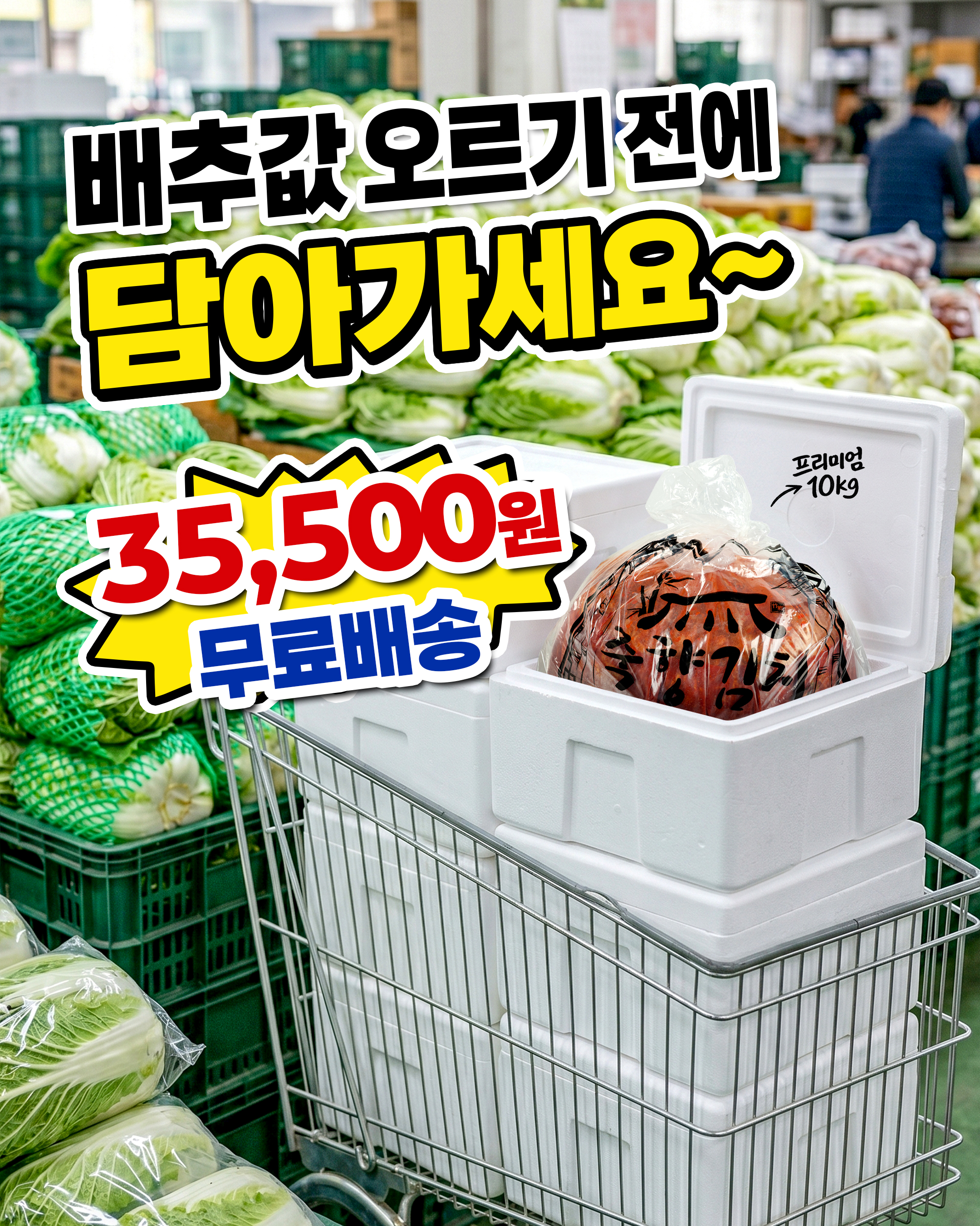 배추값 할인 프로모션 콘텐츠