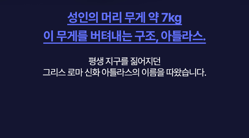 danzamV3_800_11.jpg