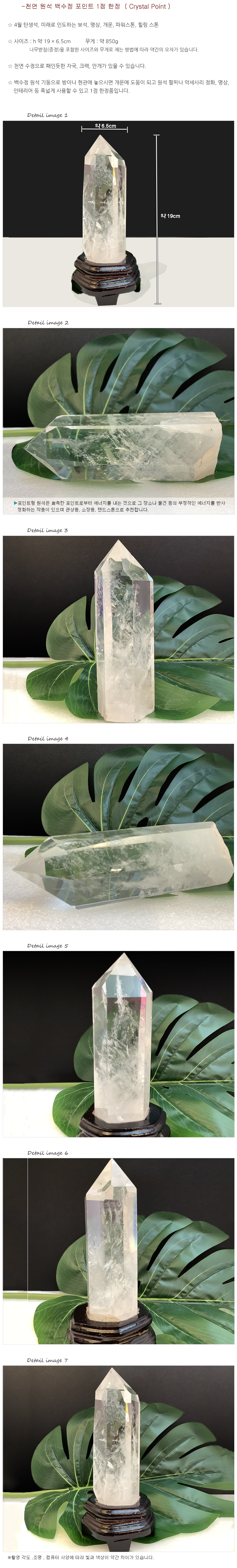 玉ちゃんの水晶社