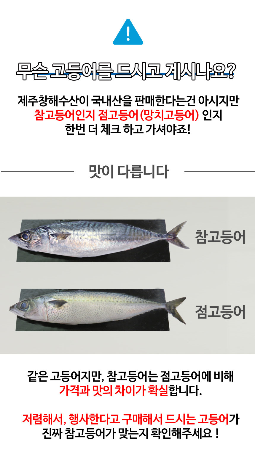 추석 명절 음식