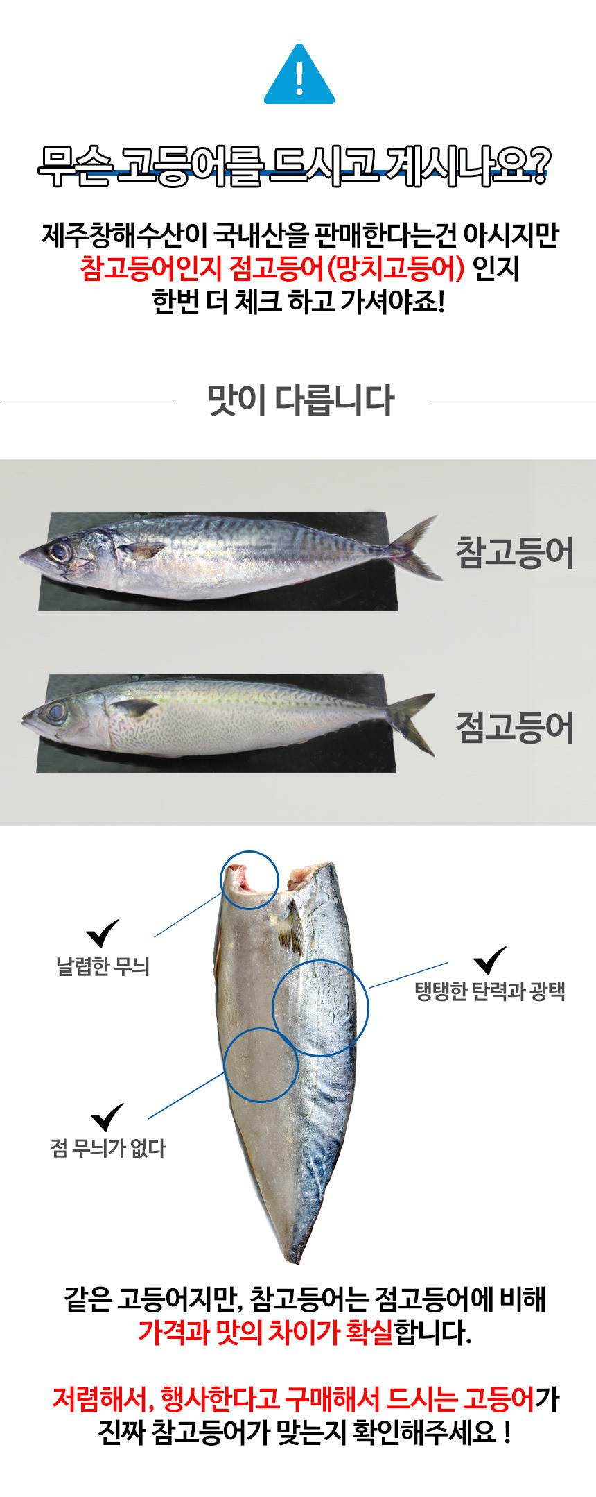 추석 명절 음식