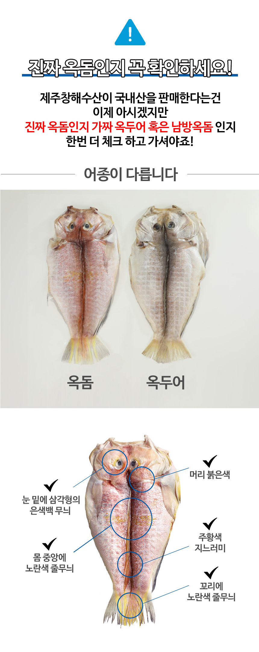 추석 명절 음식