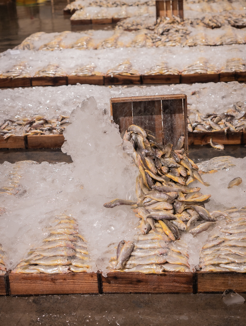 부모님 선물 추천