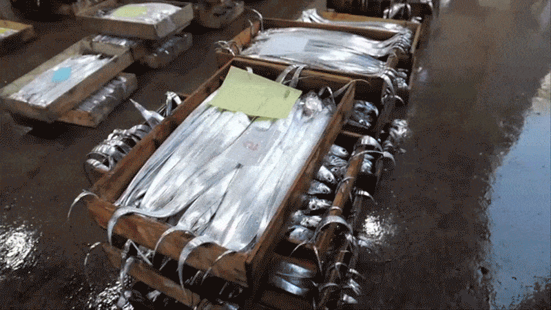 부모님 선물 추천