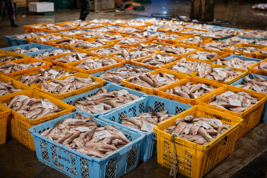 부모님 선물 추천