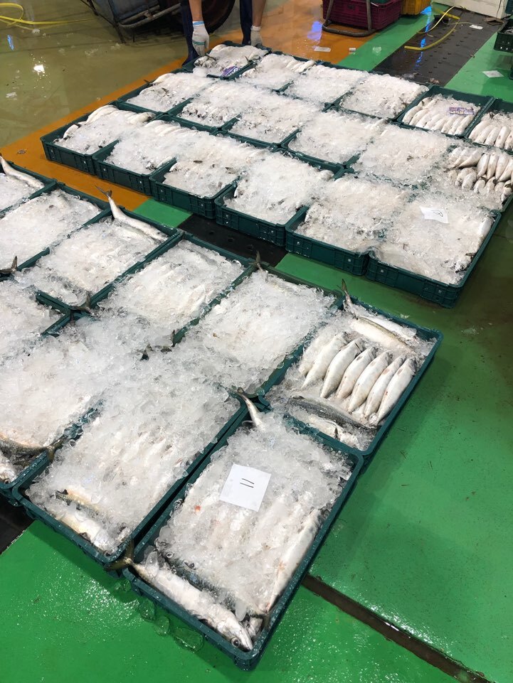 부모님 선물 추천