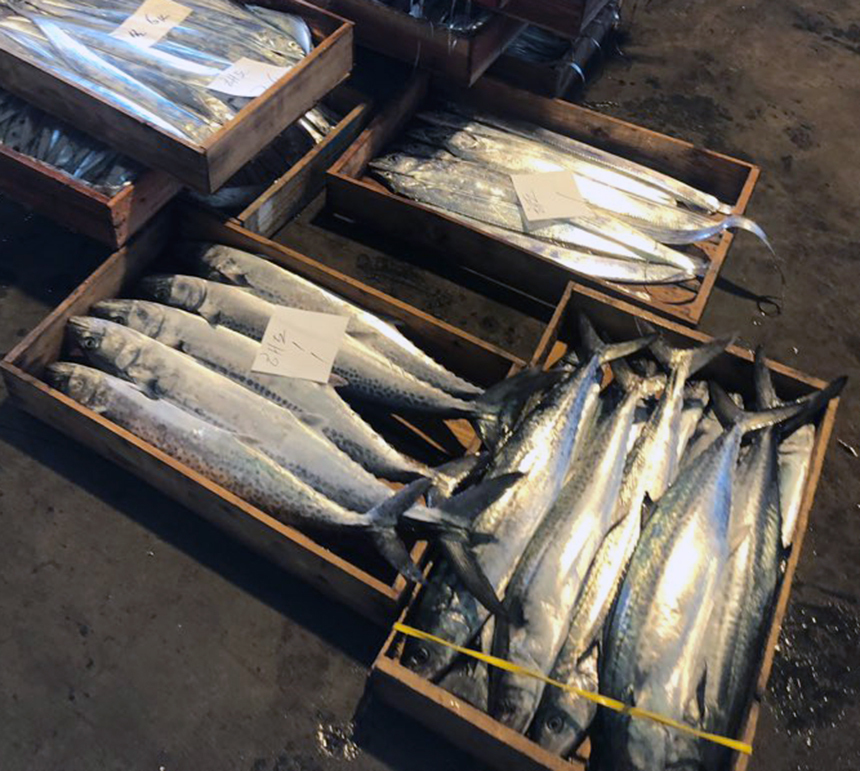 부모님 선물 추천