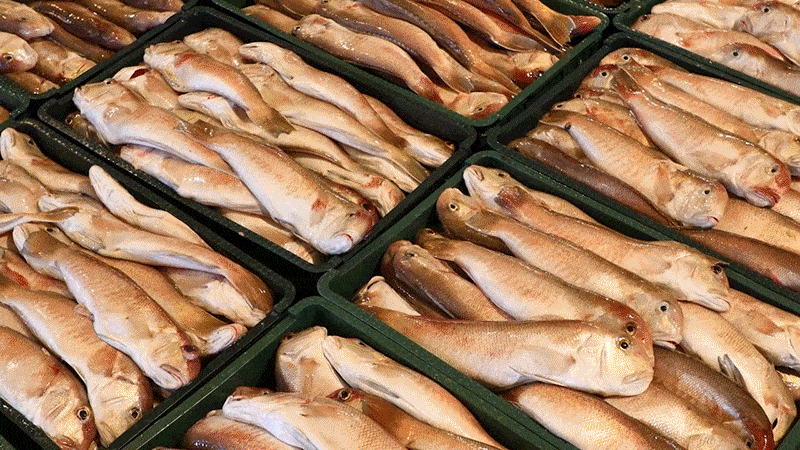 부모님 선물 추천