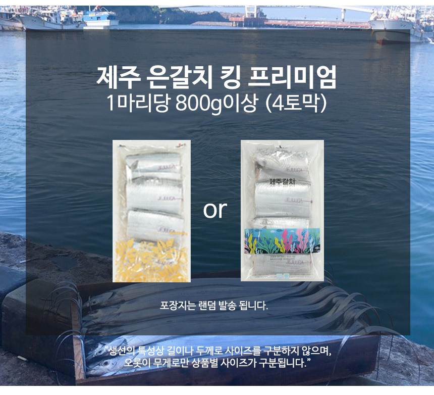 제주 갈치 선물세트