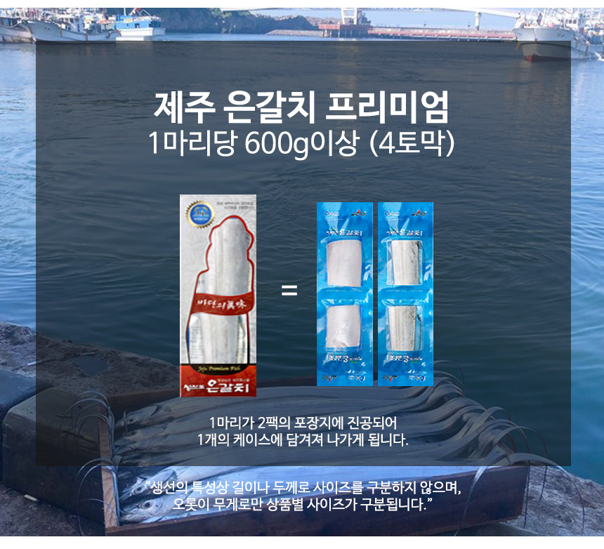 제주 갈치 선물세트