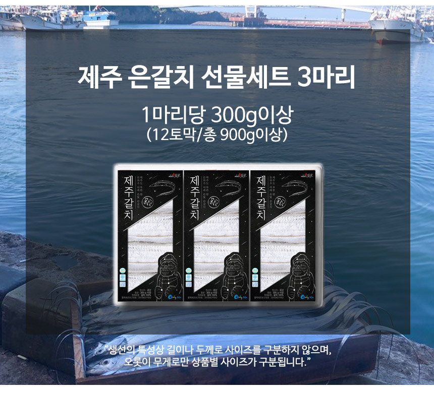 제주 갈치 선물세트