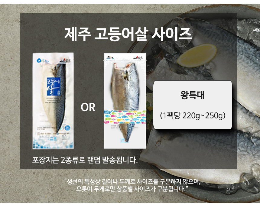 제주 고등어