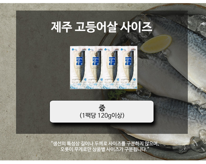 제주 고등어