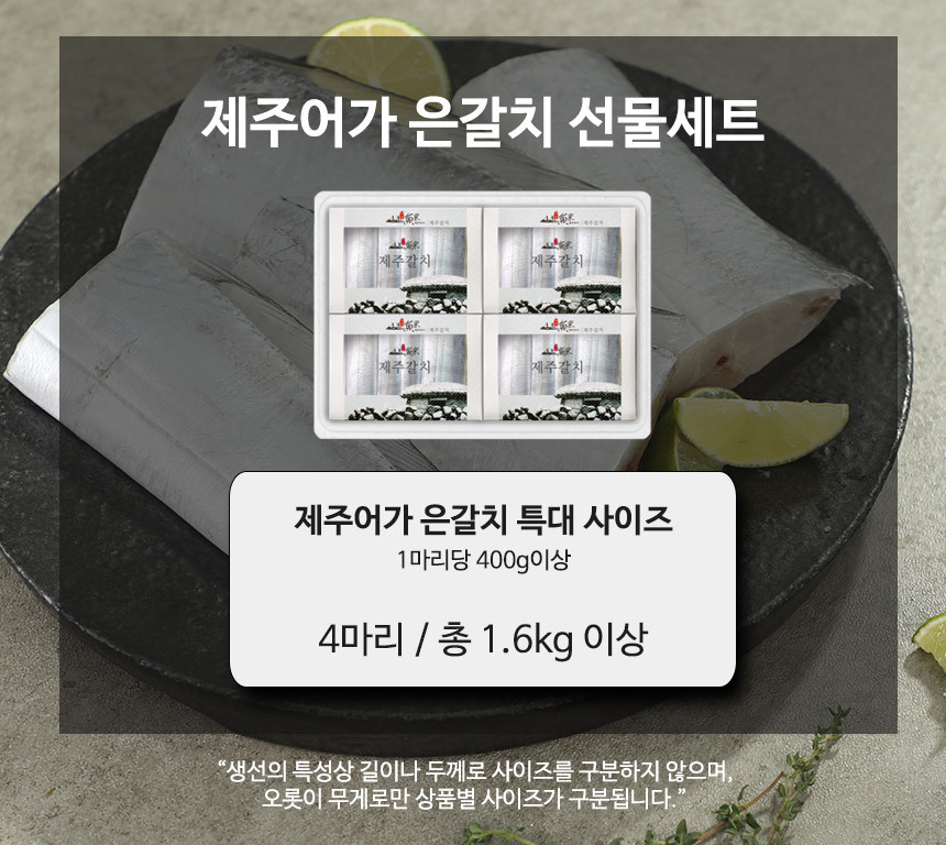5만원대 선물