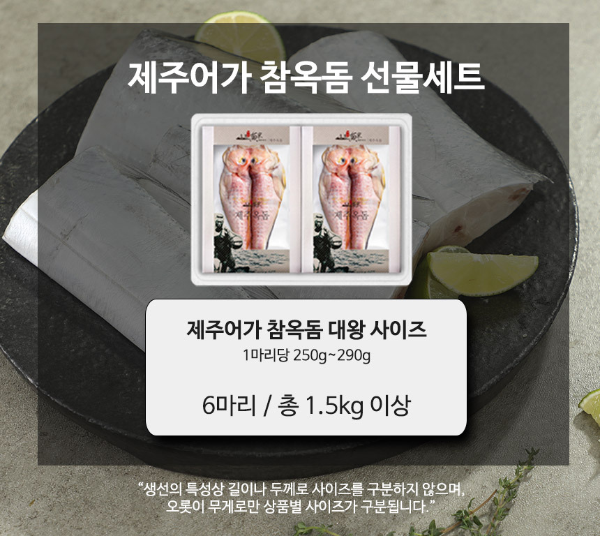 5만원대 선물