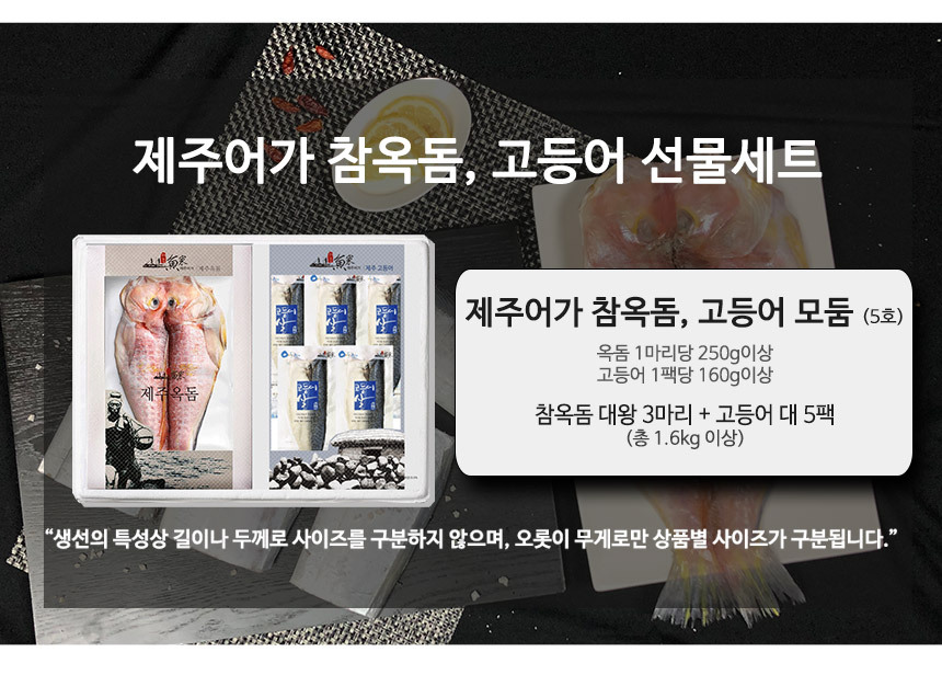 5만원대 선물
