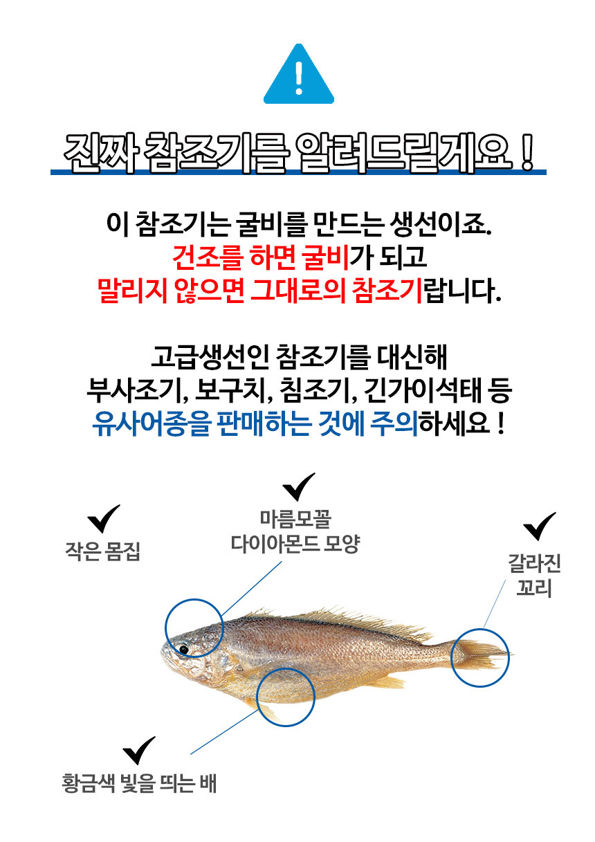 백조기