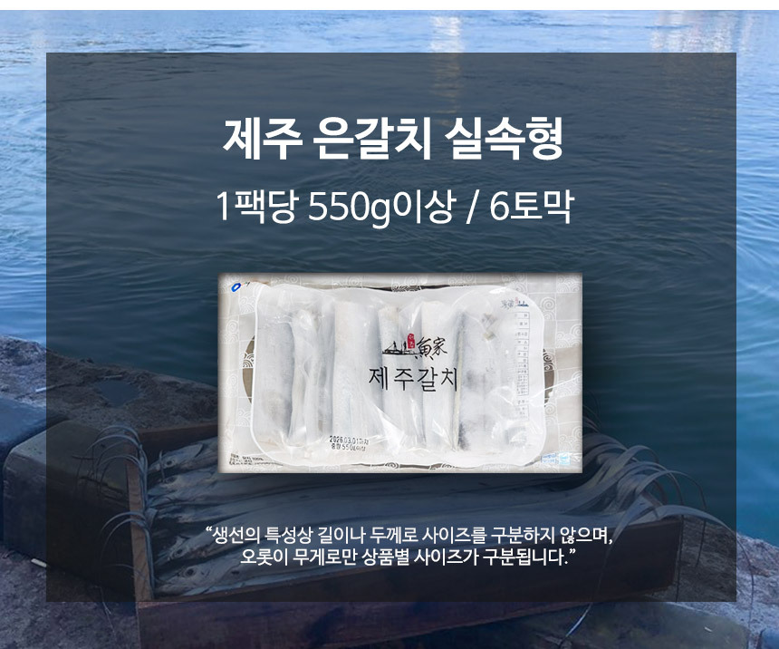 국산 갈치