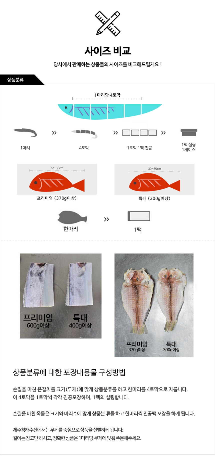 갈치 사이즈