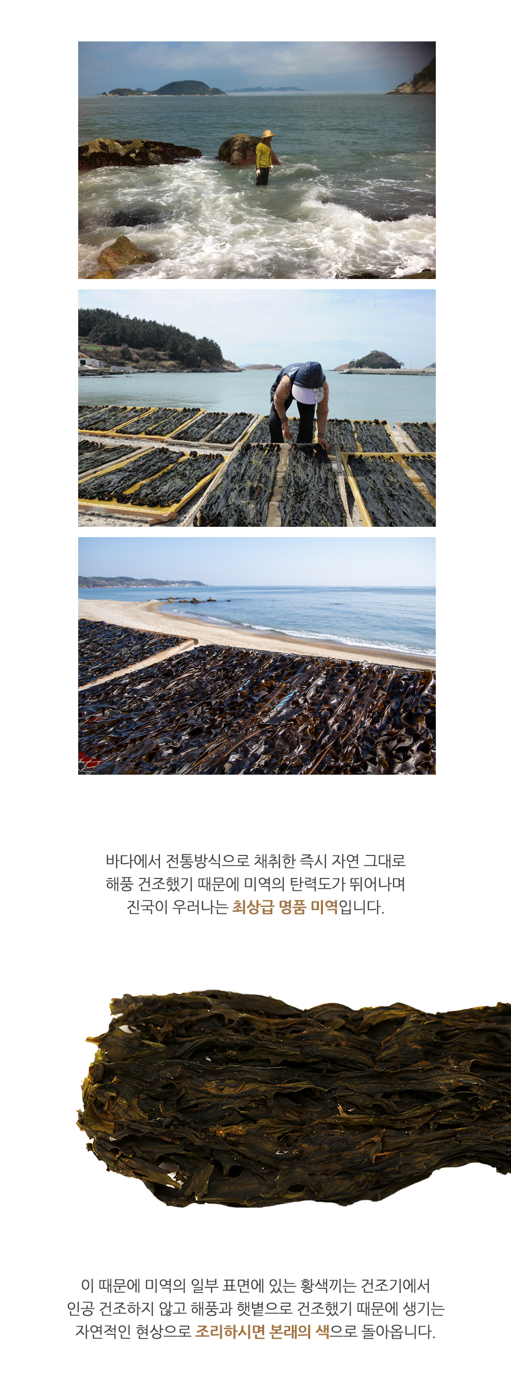 독거도 자연산 명품 돌미역