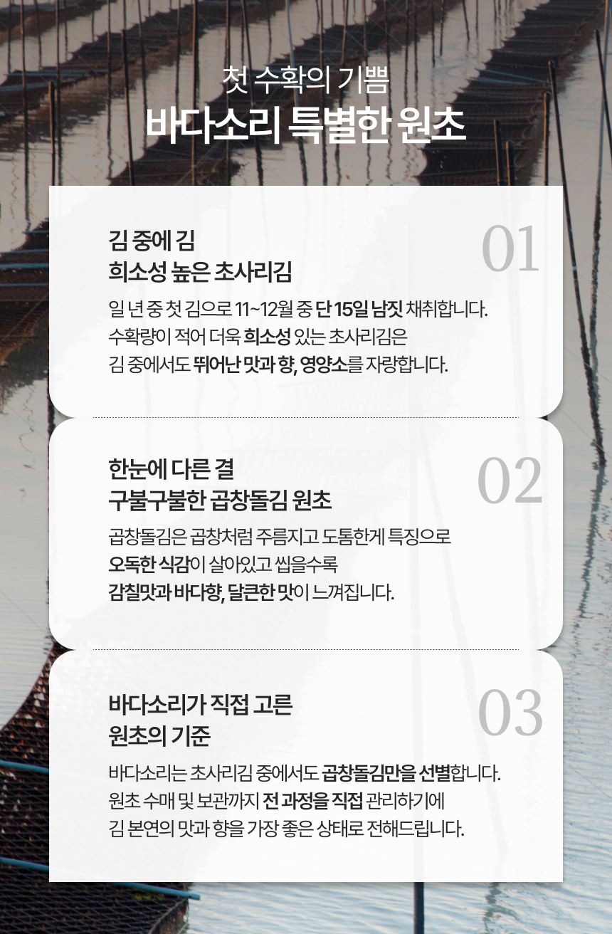 해품은김 2호 축복 초사리 곱창돌김 캔김